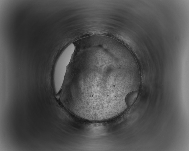 X0000088450353200705291516