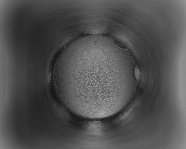 X0000088450355200705291516