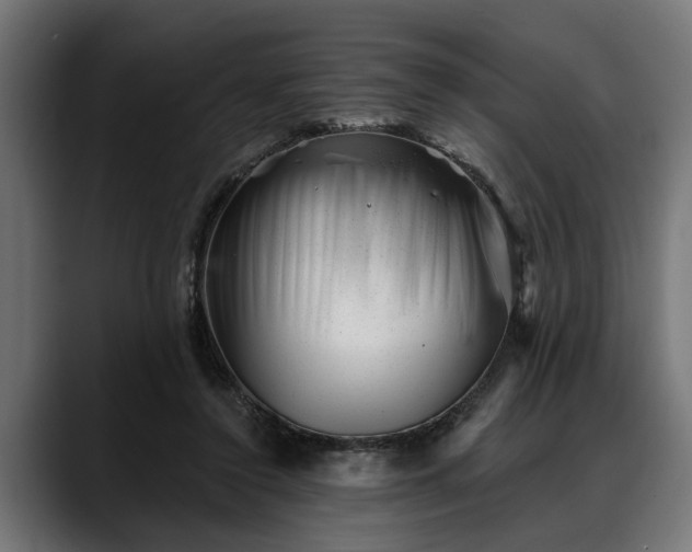 X0000088450356200705291516