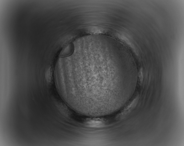 X0000088450359200705291517