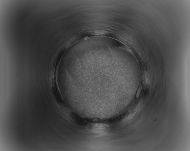X0000088450360200705291517