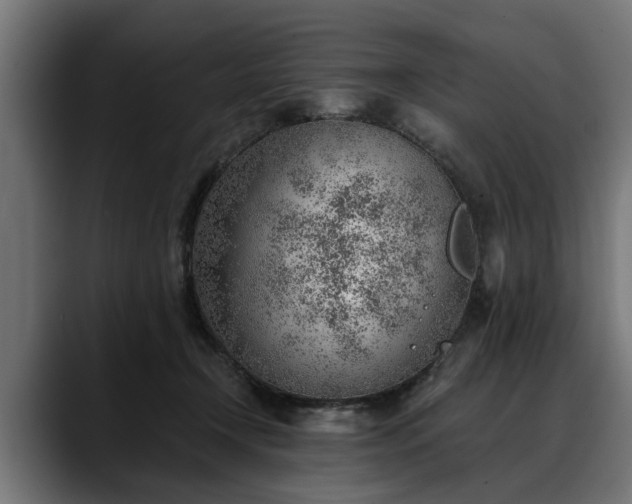 X0000088450366200705291517
