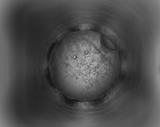 X0000088450367200705291517