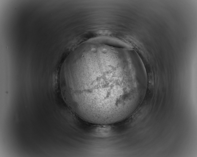 X0000088450369200705291517
