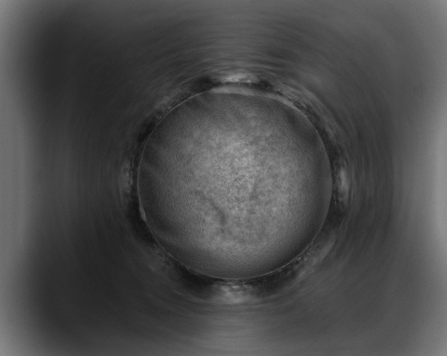 X0000088450372200705291517