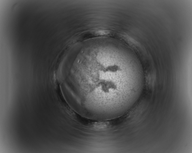X0000088450373200705291517