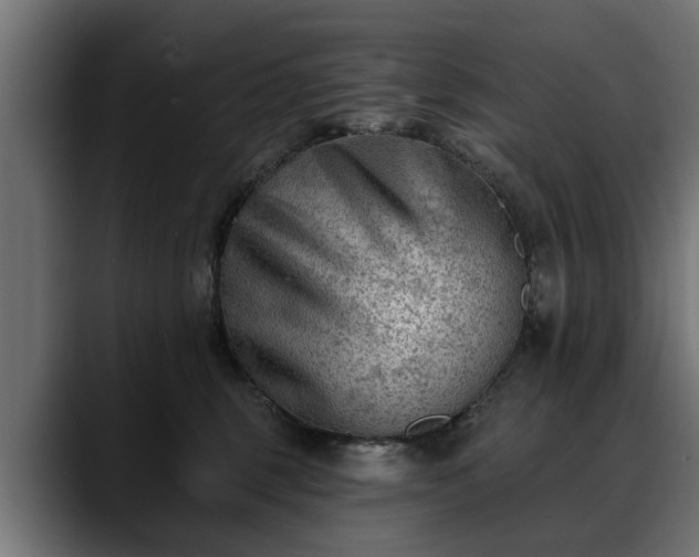 X0000088450375200705291517