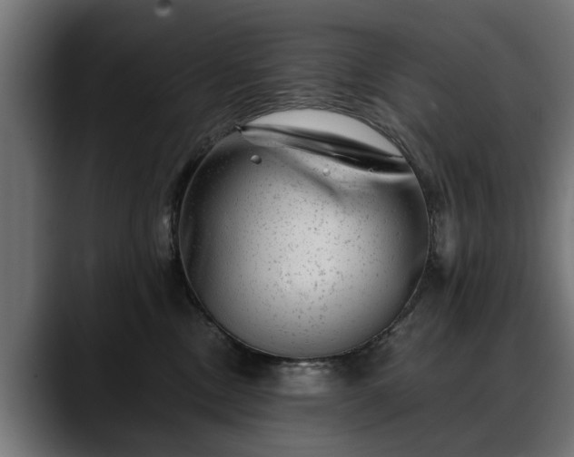 X0000088450378200705291517