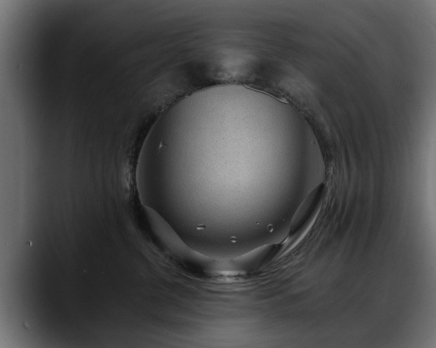 X0000088450380200705291517