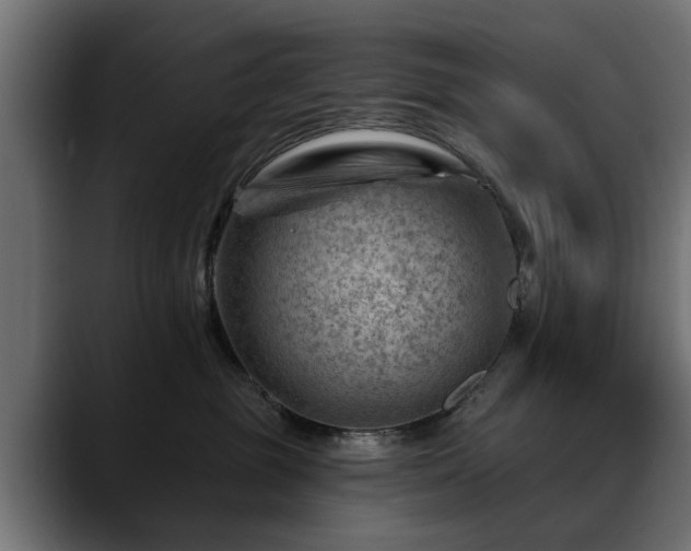 X0000088450381200705291517