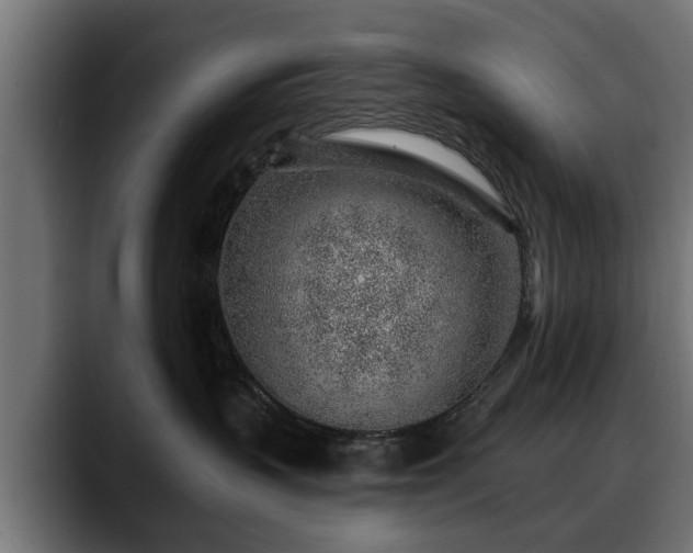 X0000088450383200705291517