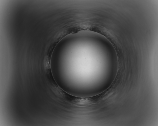 X0000088450384200705291517