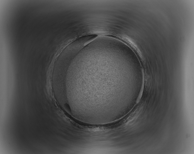 X0000088450385200705291516