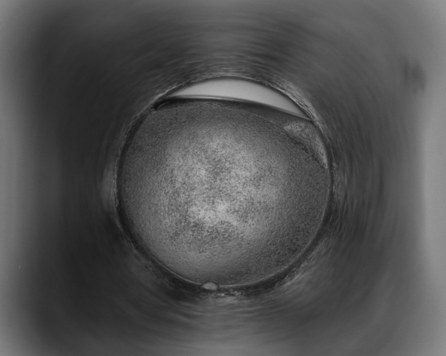 X0000088450386200705291516