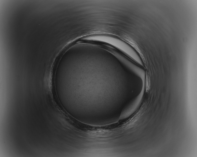 X0000088450387200705291516