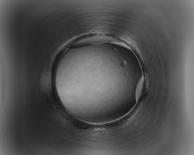 X0000088450388200705291516