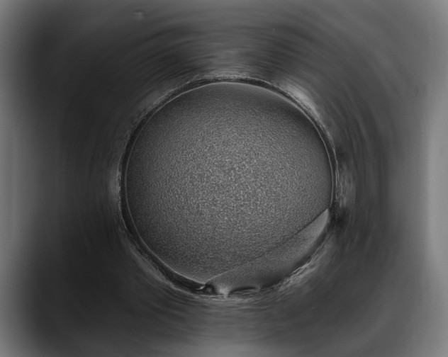 X0000088450389200705291516