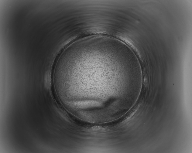 X0000088450390200705291516