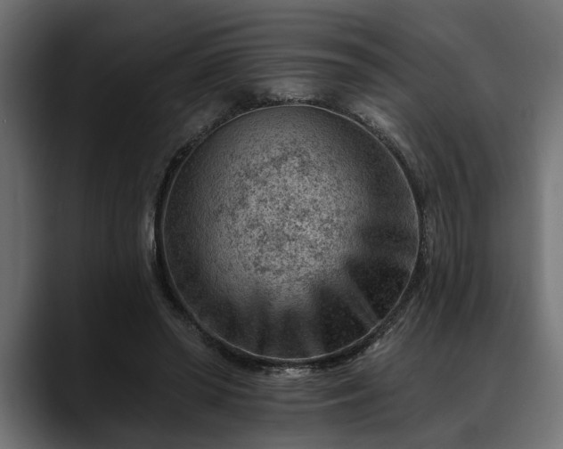 X0000088450398200705291516