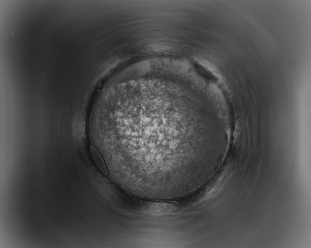 X0000088450399200705291516