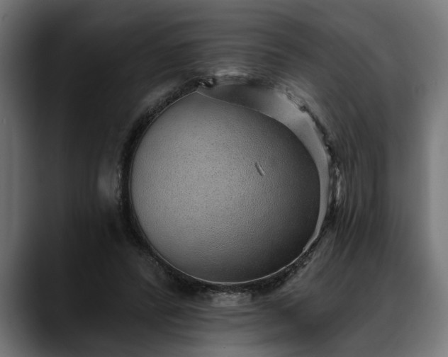 X0000088450400200705291516