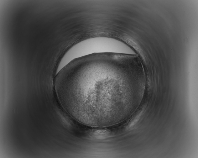 X0000088450401200705291516