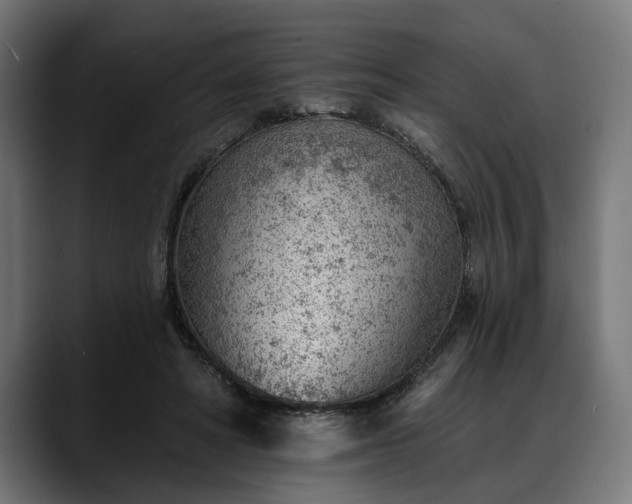 X0000088450402200705291516