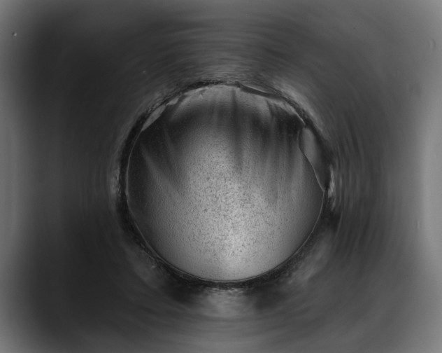 X0000088450403200705291516