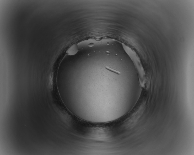 X0000088450404200705291516