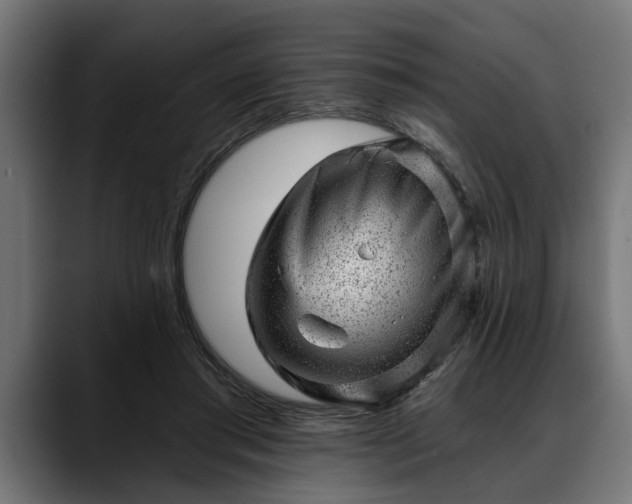 X0000088450405200705291516