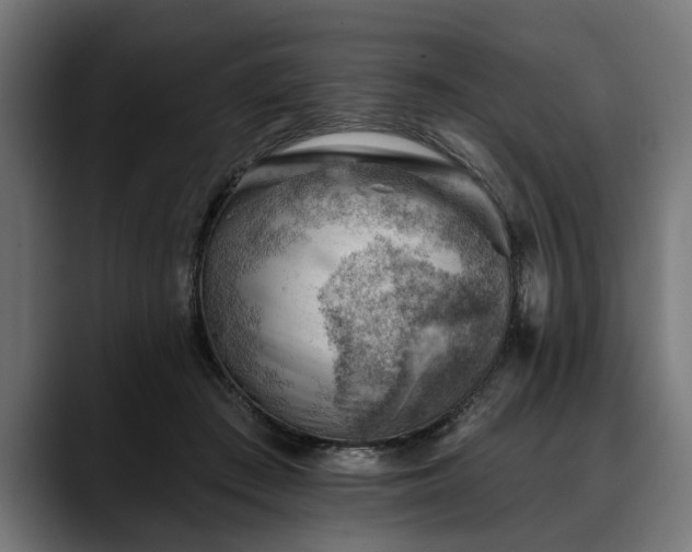 X0000088450409200705291516
