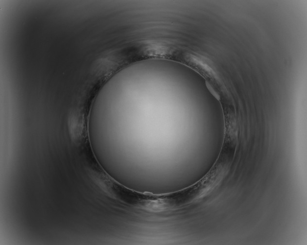 X0000088450411200705291516
