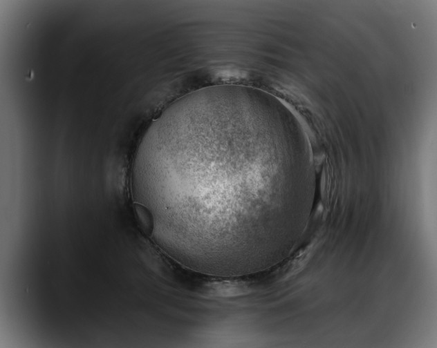 X0000088450417200705291516