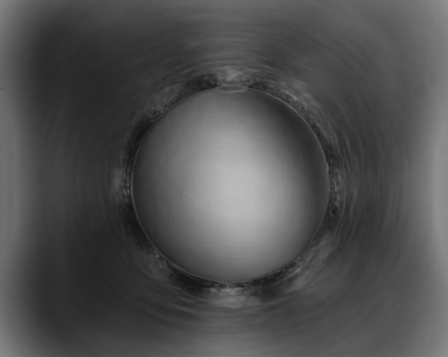 X0000088450419200705291516