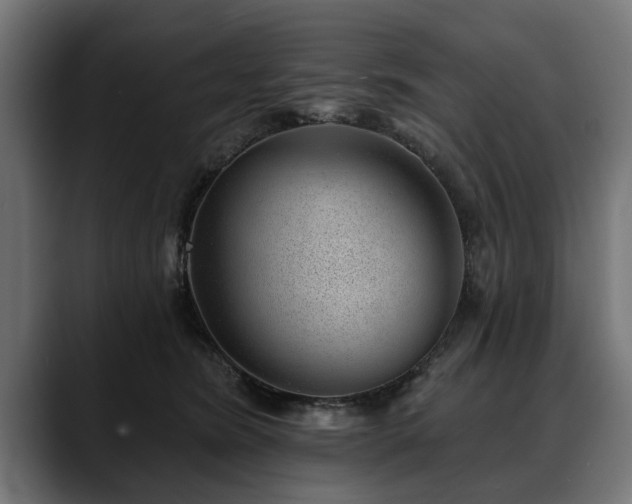 X0000088450420200705291516