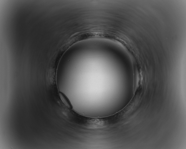 X0000088450421200705291516