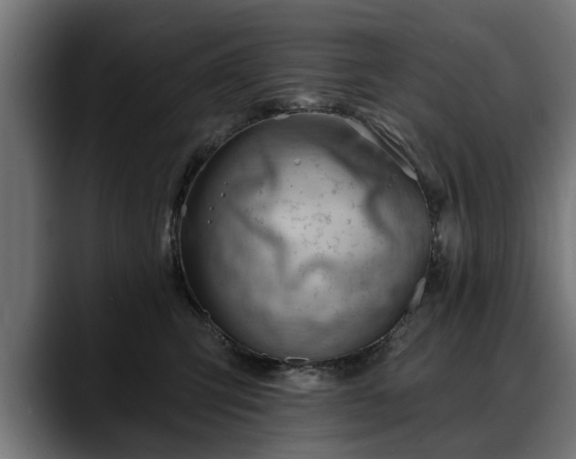 X0000088450423200705291516