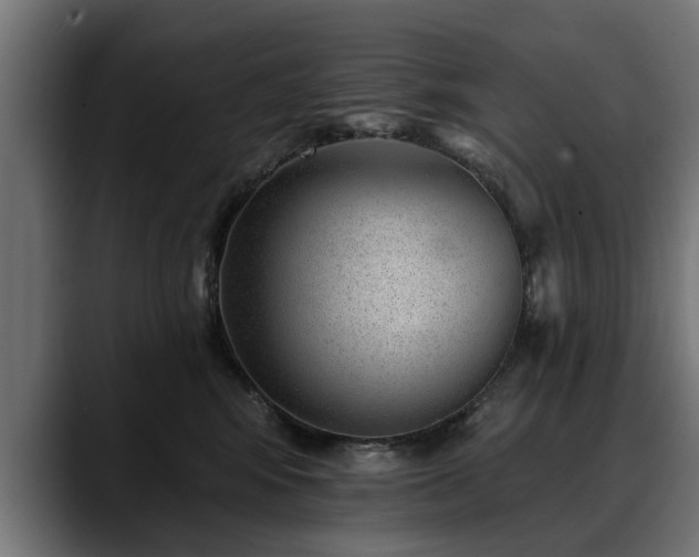 X0000088450424200705291516