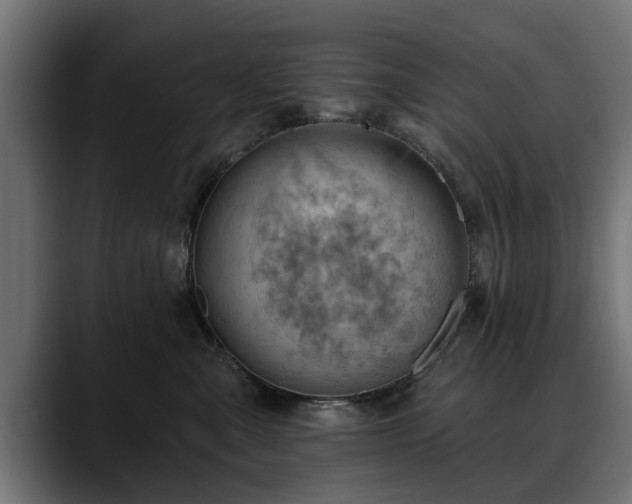 X0000088450427200705291516