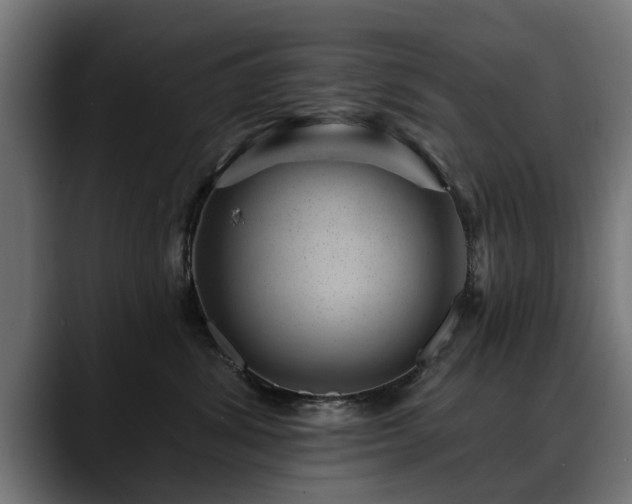 X0000088450428200705291516