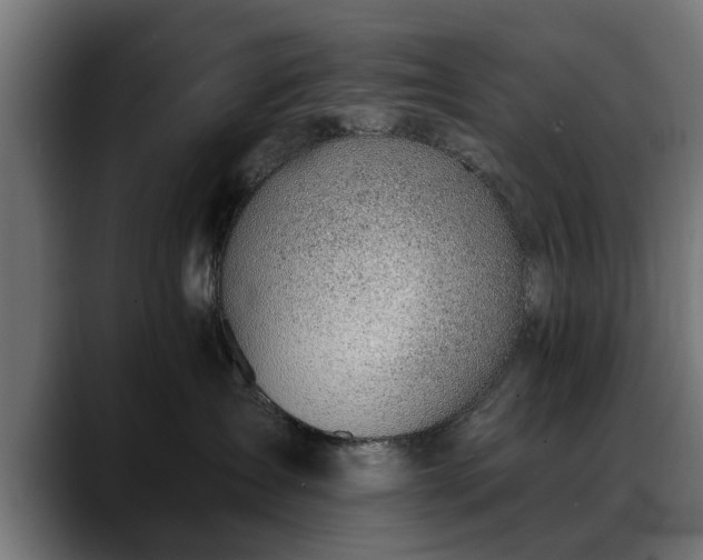 X0000088450431200705291516