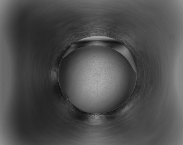 X0000088450432200705291516