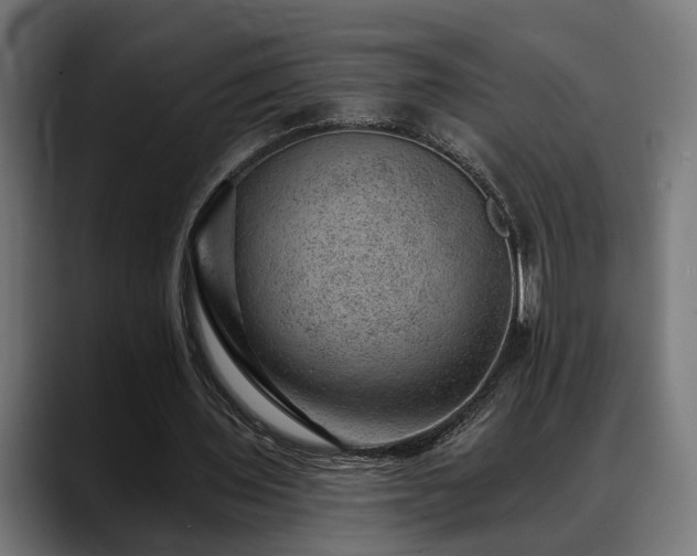 X0000088450435200705291515