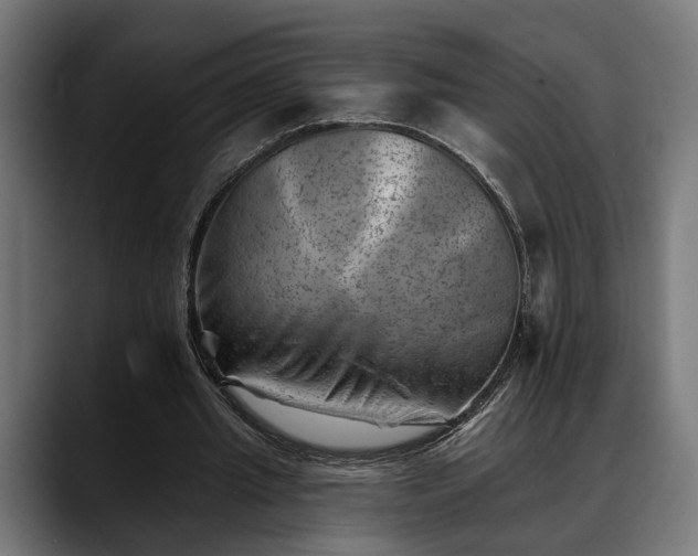 X0000088450437200705291515