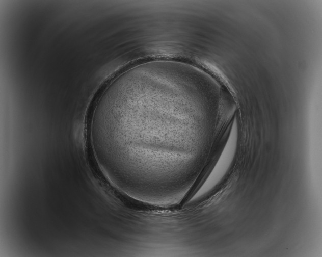 X0000088450439200705291515