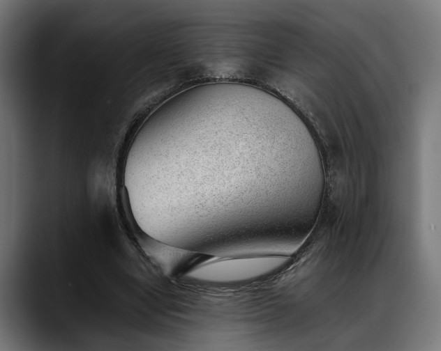 X0000088450442200705291515