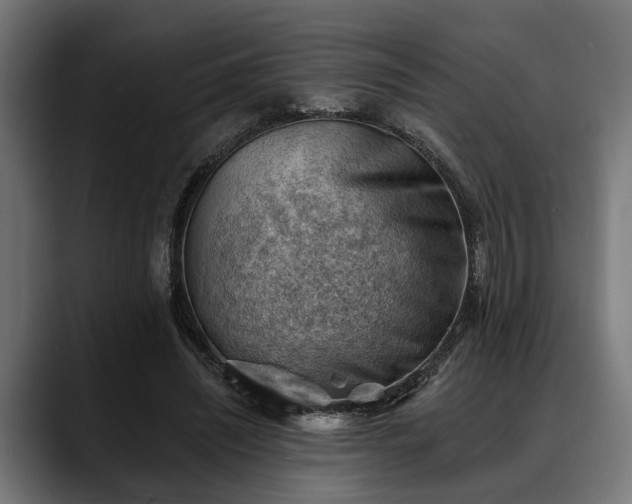 X0000088450444200705291515