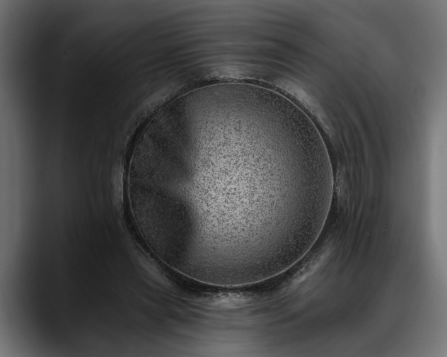 X0000088450445200705291515