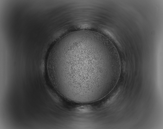 X0000088450447200705291515