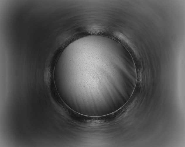 X0000088450448200705291515